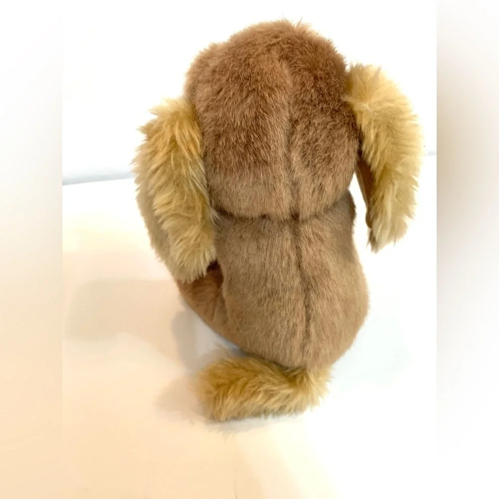 Armbee  Corp cocker spaniel sitting dog with ladybug on nose 8